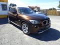 2010 BMW X1