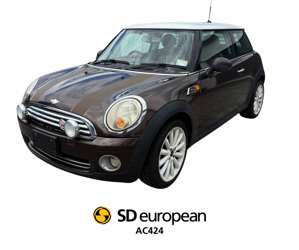 2010 Mini Mayfair LCI