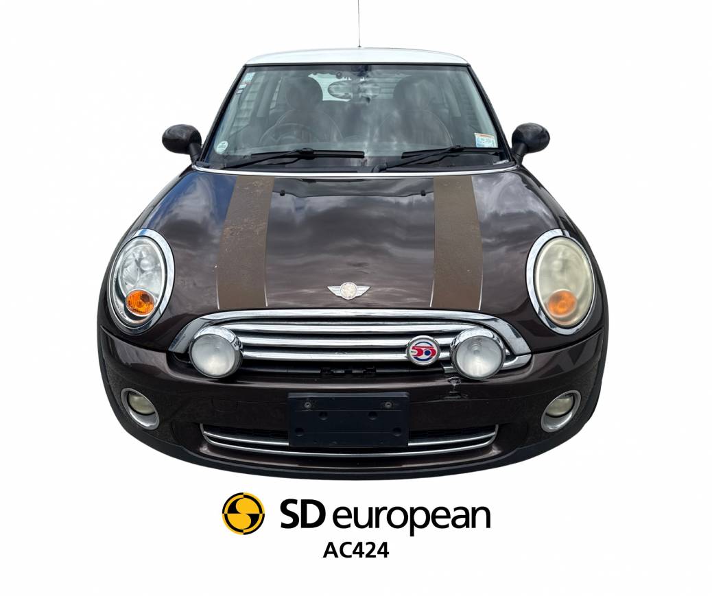 2010 Mini Mayfair LCI