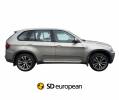 2010 BMW X5